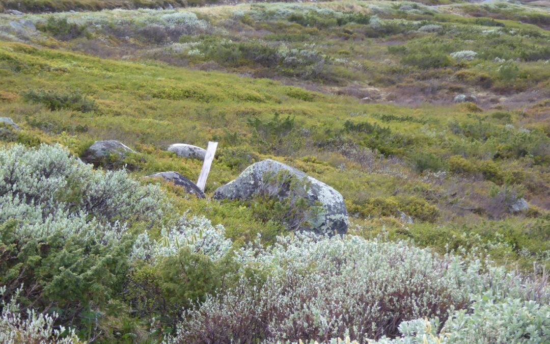 7. Mugnestølen, Vang i Valdres